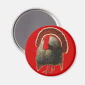 Vintager Erntedank Türkei Magnet (Vorderseite/Rückseite)