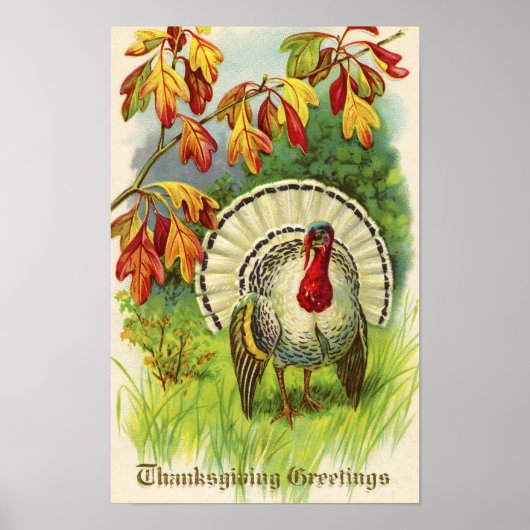 Vintager Erntedank Türkei Poster (Vorne)