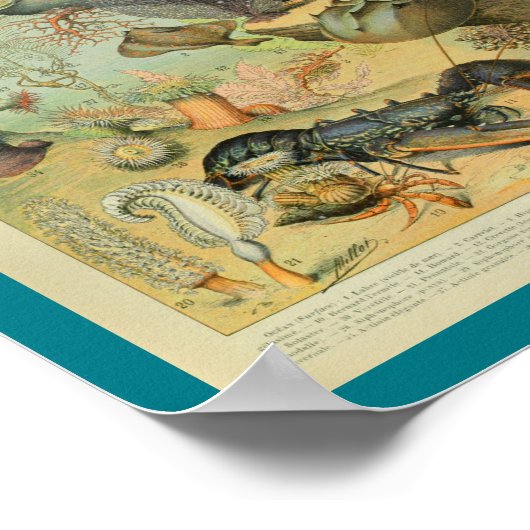 Vintager FarbMeereswelt-Meerblick-Druck Poster (Ecke)