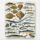 Vintager Fisch der Welt Mousepad (Vorne)
