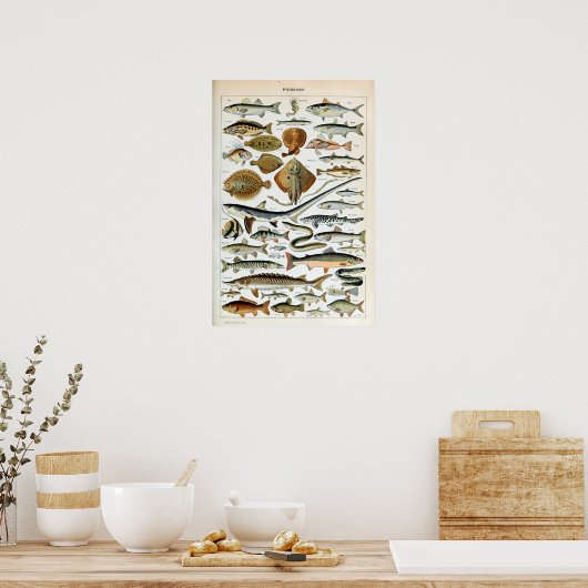 Vintager Fisch der Welt Poster (Küche)