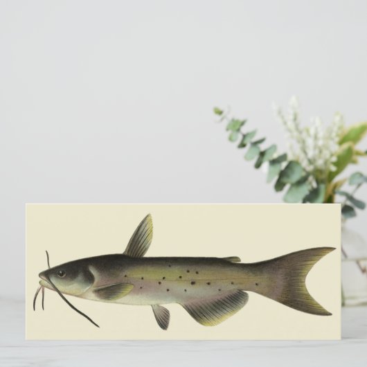 Vintager Fisch, Marine Life River Fish (Stehend Vorderseite)