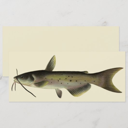Vintager Fisch, Marine Life River Fish (Vorne/Hinten)