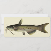 Vintager Fisch, Marine Life River Fish (Vorderseite)