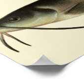 Vintager Fisch, Meeresfauna Poster (Ecke)
