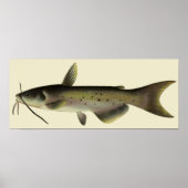Vintager Fisch, Meeresfauna Poster (Vorne)