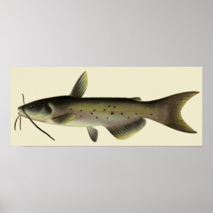 Vintager Fisch, Meeresfauna Poster