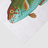 Vintager Fisch Seidenpapier (Ausschnitt)