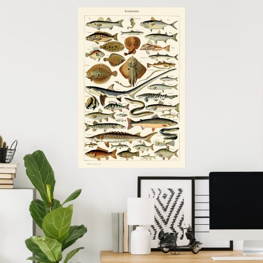 Vintager Fisch von Adolphe Millot Poster (Heimbüro)