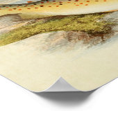 Vintager Fischdruck 026 | Gillaroo Poster (Ecke)