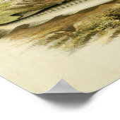 Vintager Fischdruck 037 | Sturgeon Poster (Ecke)