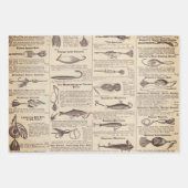 Vintager Fischfang: Antiker Fischer aus den 1900er Geschenkpapier Set (Vorderseite 2)