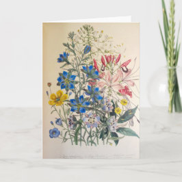 Vintager Flachs und reinigende botanische Illustra Karte