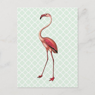 Vintager Flamingo auf Minze Quatrefolie Postkarte