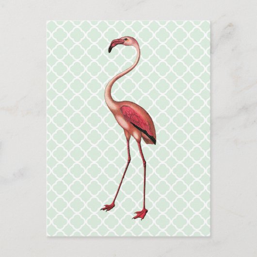 Vintager Flamingo auf Minze Quatrefolie Postkarte (Vorderseite)