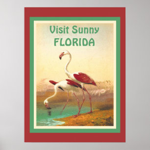 Vintager Flamingos Besuch Florida Tourismus Reisen Poster