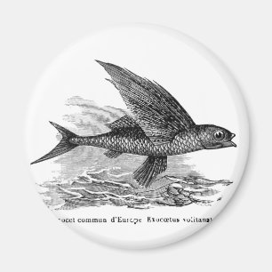 Vintager Fliegenfisch-Kühlschrankmagnet Magnet