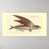 Vintager Fliegenfisch Poster (Vorne)