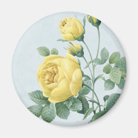 Vintager floraler Magnet mit schöner gelber Rose (Vorne)