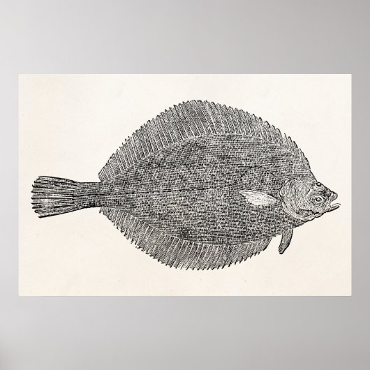 Vintager Flounder-Fisch aus dem Häuschen - Vorlage Poster (Vorne)