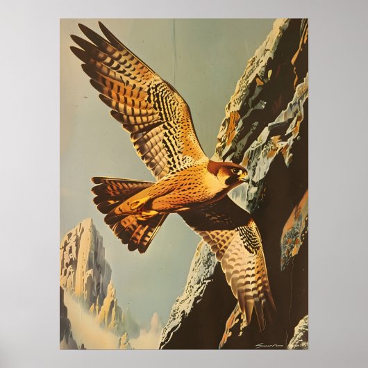 Vintager Flug des Merlin Falcon Poster (Vorne)