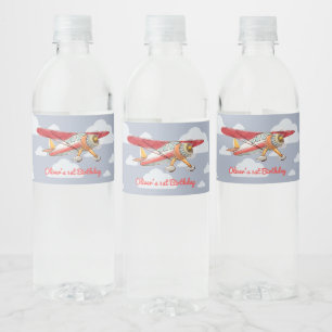 Vintager Flugzeug-Geburtstag Wasserflaschenetikett