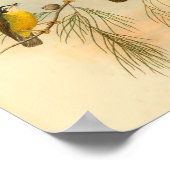 Vintager Flycatcher-Gelbvogel Poster (Ecke)