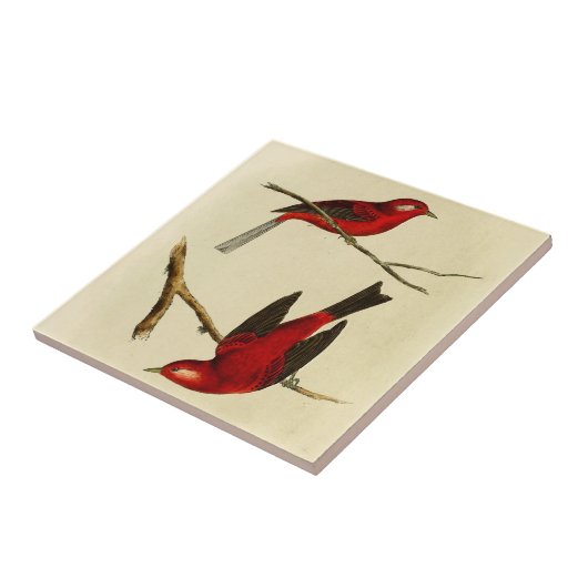 Vintager Flycatcher-Vogel Fliese (Seite)