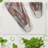 Vintager Footprint Podiatrie Feet Geschirrtuch (Gefaltet)