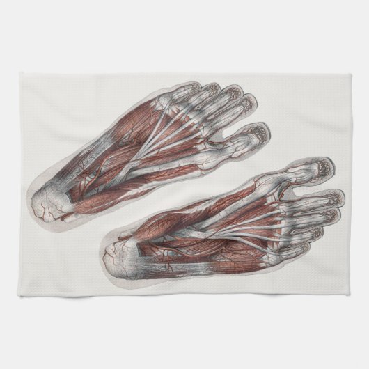 Vintager Footprint Podiatrie Feet Geschirrtuch (Horizontal)
