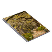 Vintager Forsyth Park - Savanne, GA, Fotografie Notizblock (Rechte Seite)