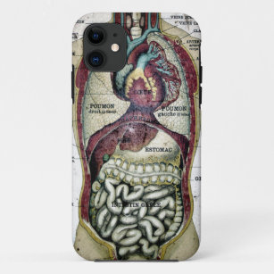 Anatomie Iphone Hullen Zazzle De