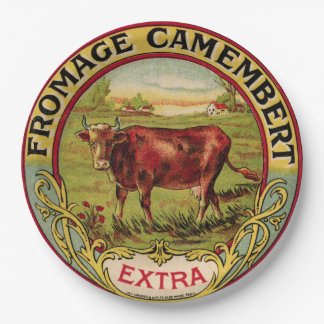 Vintager französischer Käse mit Pappteller