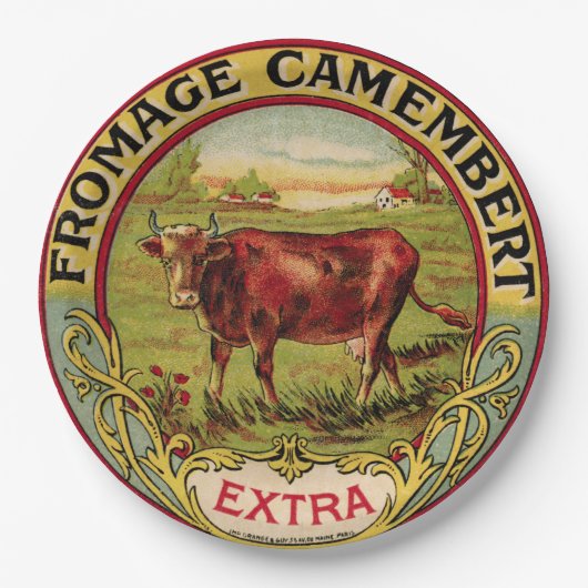 Vintager französischer Käse mit Pappteller (Vorderseite)