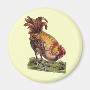 Vintager französischer Land-Hahn-Kühlschrankmagn Magnet
