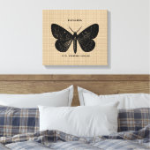 Vintager französischer Schmetterling auf Leinwand (Insitu (Schlafzimmer))