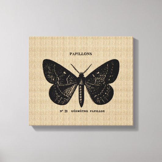 Vintager französischer Schmetterling auf Leinwand (Vorderseite)