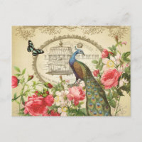Vintager französischer Shabby Chic-Pfau