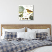 Vintager französischer Vogel und Nest Leinwanddruck (Insitu (Schlafzimmer))