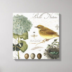 Vintager französischer Vogel und Nest Leinwanddruck