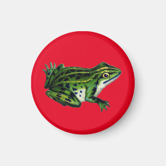 Vintager Frog Illustrationsmagnet Magnet