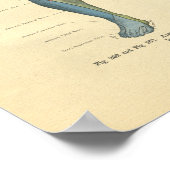 Vintager Frohse Leg Nervenervation drucken Poster (Ecke)