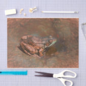 Vintager Frosch auf Felsen im Wasser Seidenpapier (Handwerk)