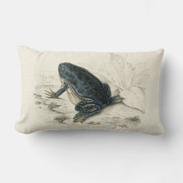 Vintager Frosch Lendenkissen