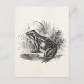Vintager Frosch - Reptilienfrösche Postkarte (Vorderseite)