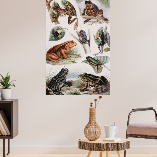 Vintager Froschkatalog Poster (Wohnzimmer 3)