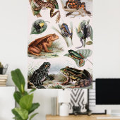 Vintager Froschkatalog Poster (Heimbüro)