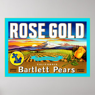 Vintager Frucht-Kisten-Aufkleber Poster