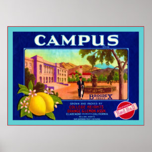 Vintager Frucht-Kisten-Aufkleber Poster