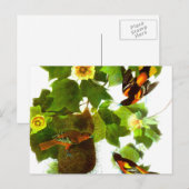 Vintager Frühlingstag - Vögel und Blume Postkarte (Vorne/Hinten)